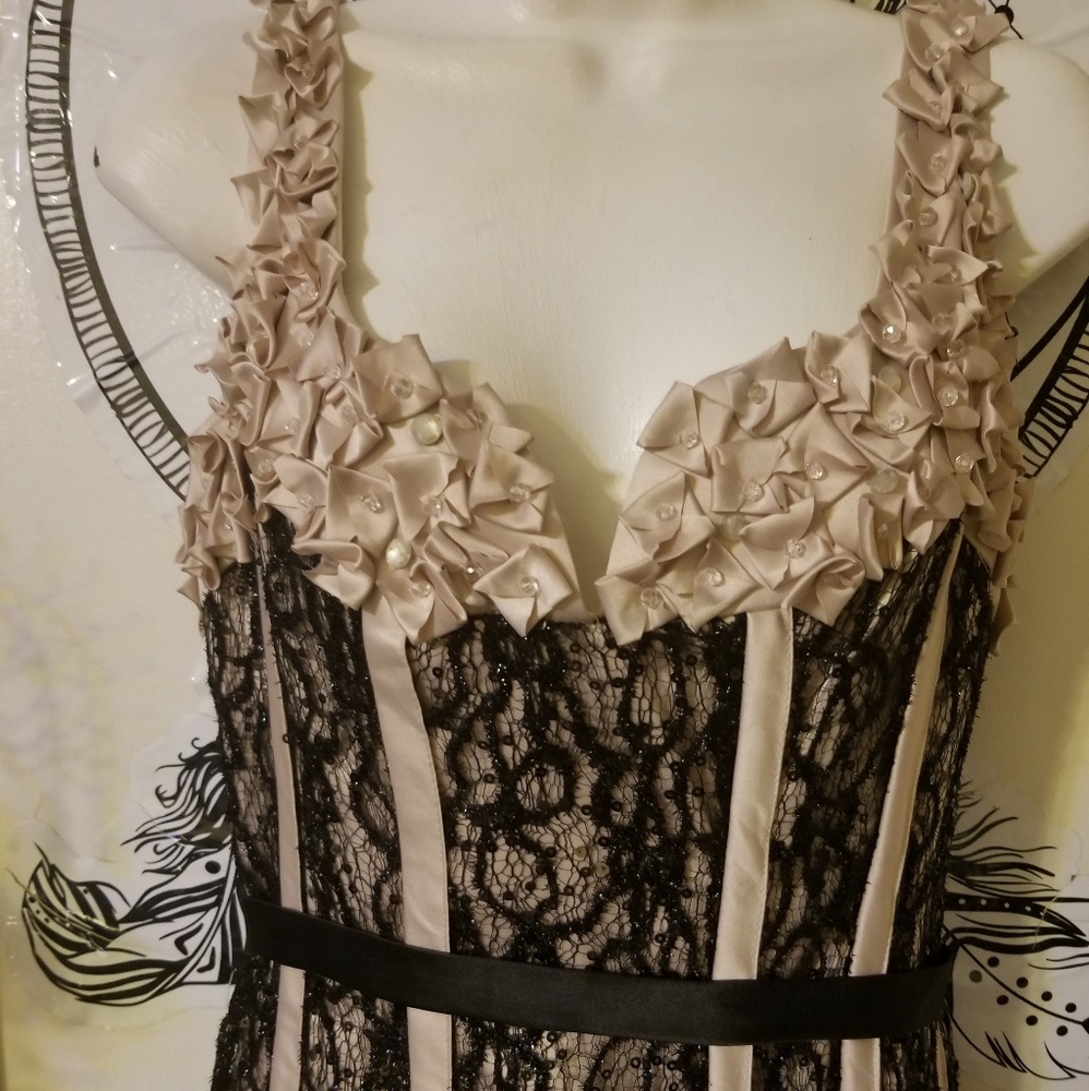 Beautiful pink and black lace